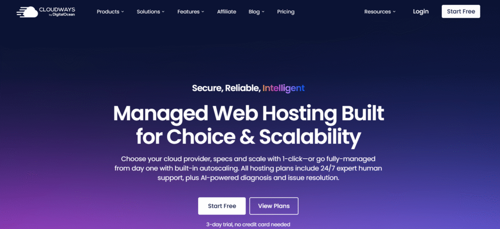 Web Hosting - Cloudways
